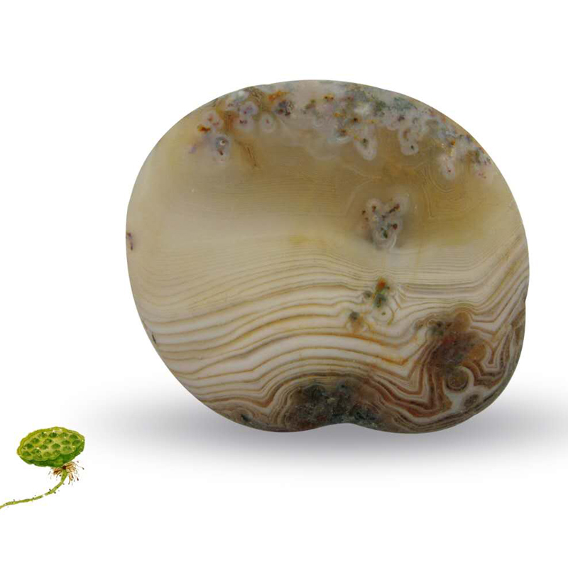 春花溪水54 45
