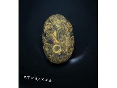 螺化石