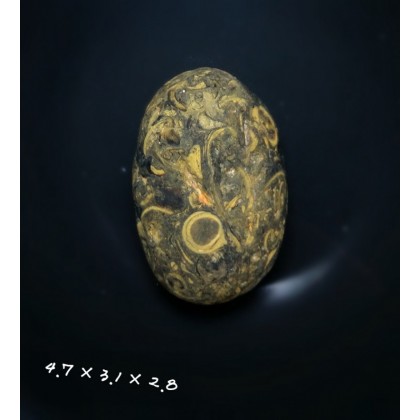 螺化石