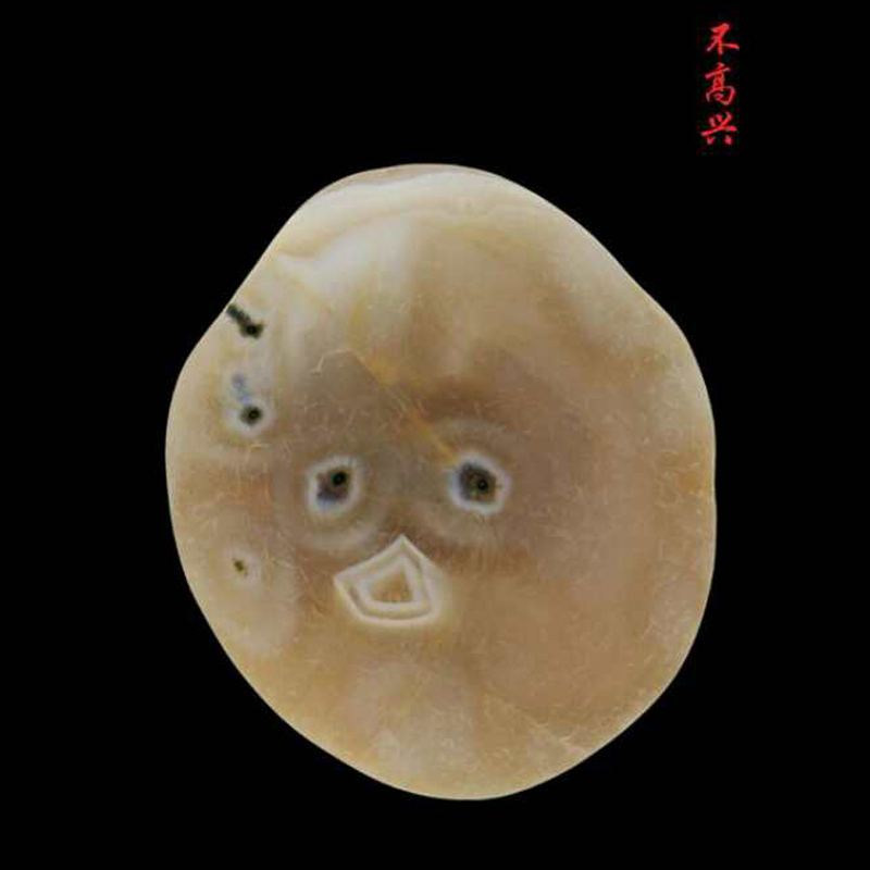 不高兴 47 40