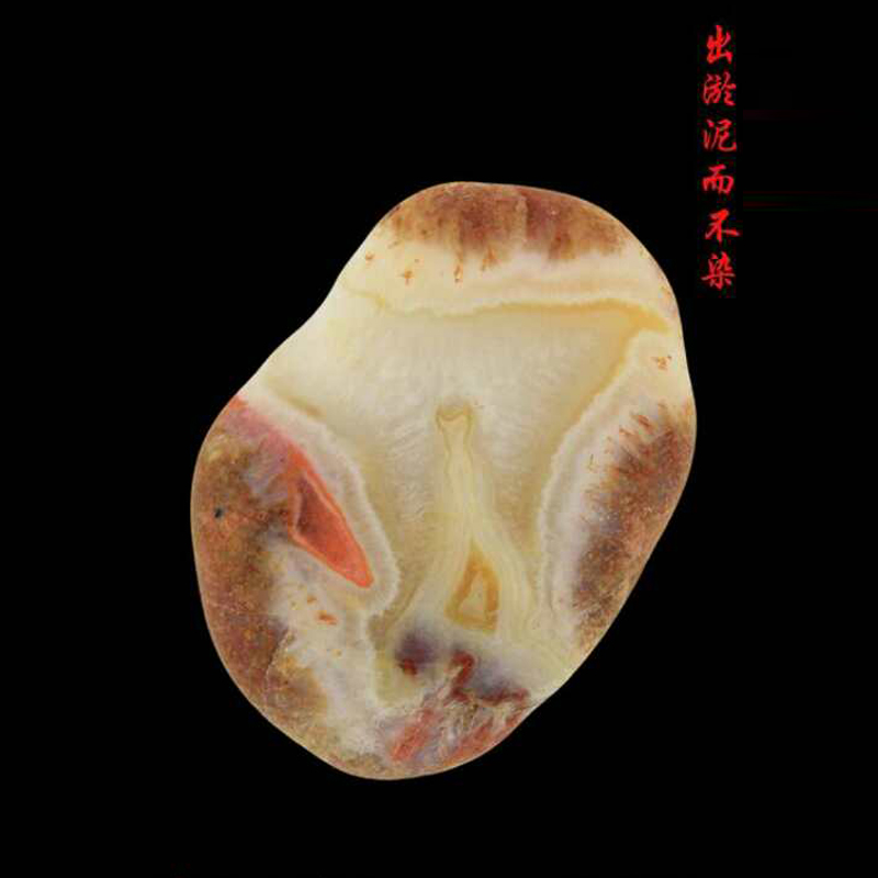 出淤泥而不染 59 43