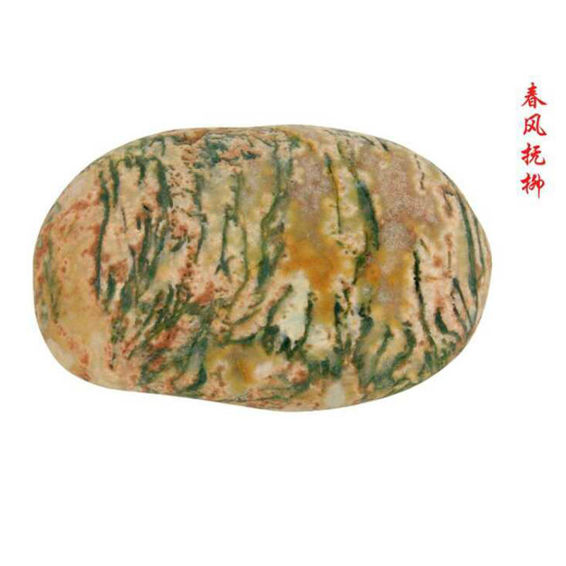 春风抚柳 91 53
