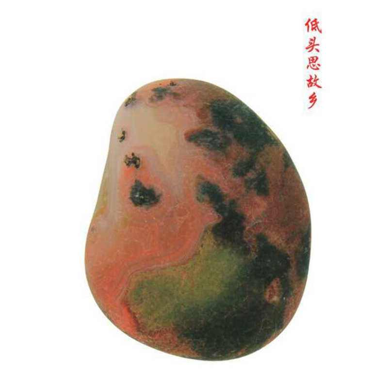 低头思故乡 48 36
