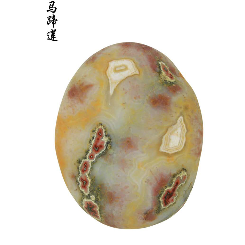 马蹄莲 76 60 8000
