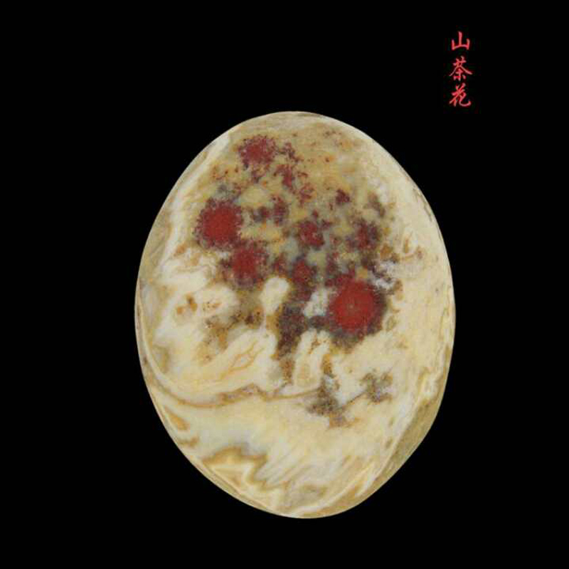 山茶花 63 49