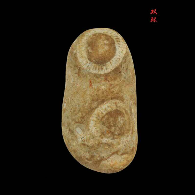 双环 85 43