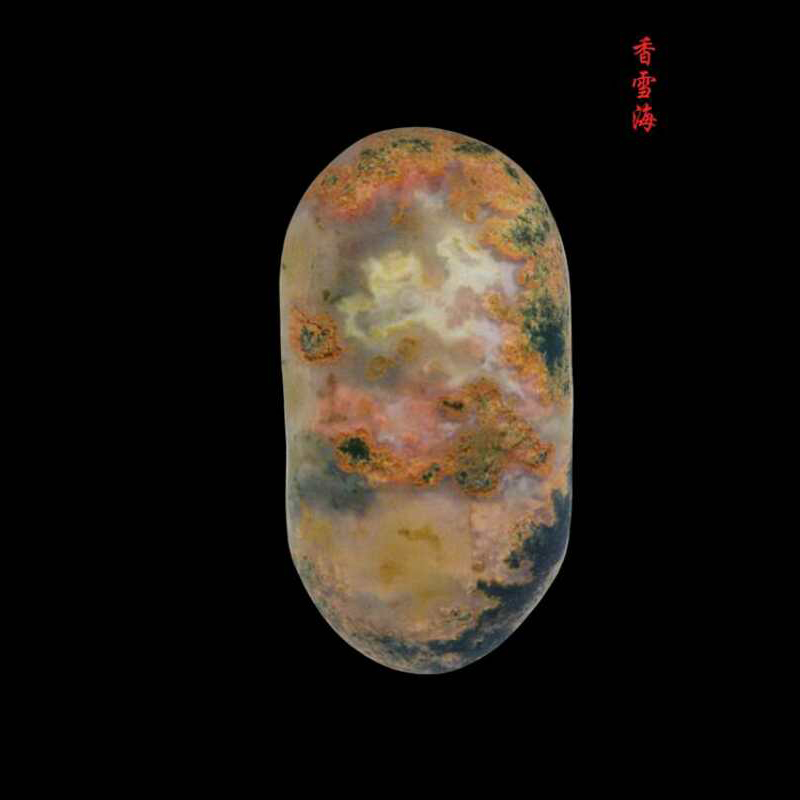 香雪海 59 31