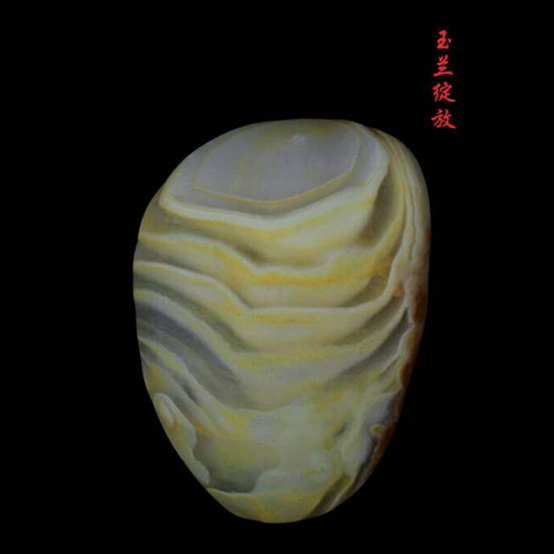 玉兰绽放 56 41