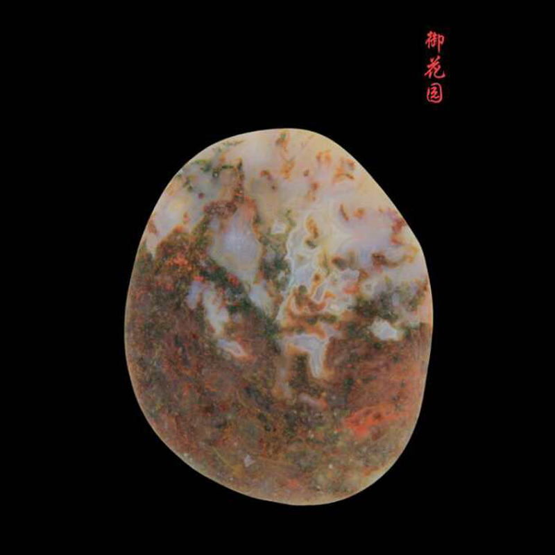 御花园 55 45