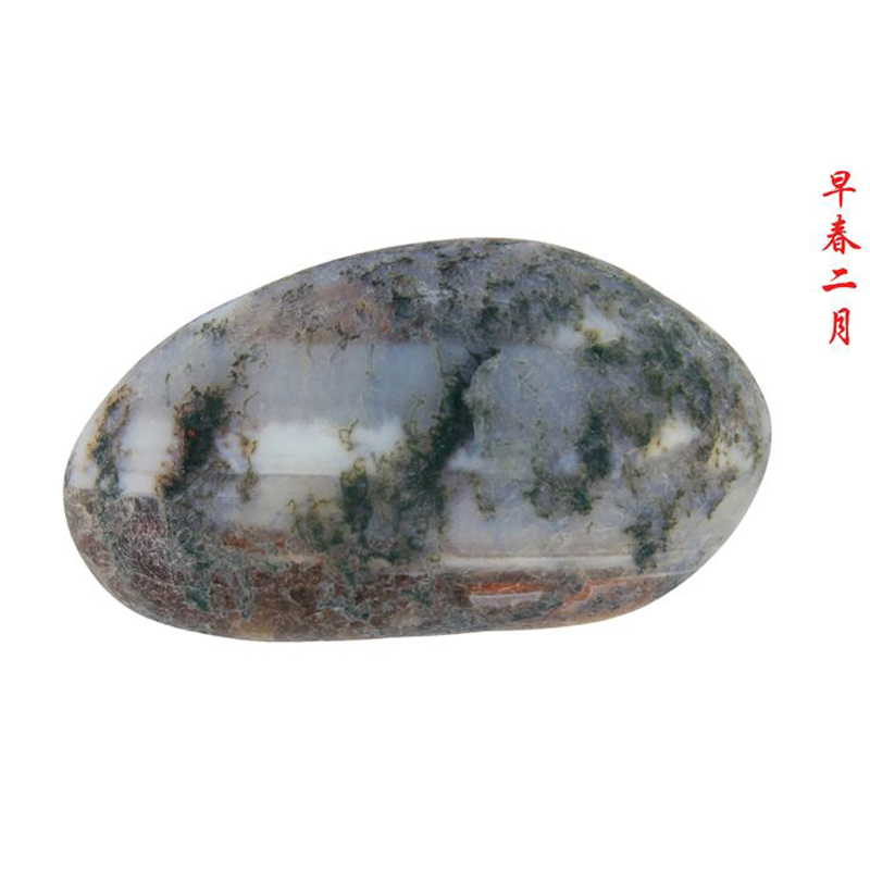 早春二月 59 39
