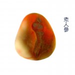 雨花石 老人参