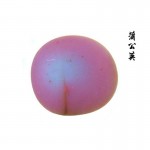 雨花石 蒲公英