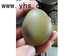南京蛋白石