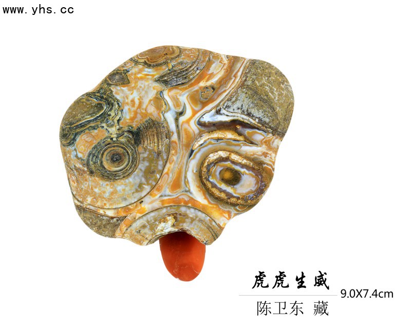 微信图片_20221122181644