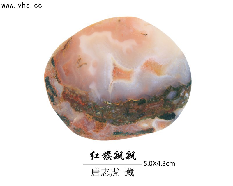 微信图片_20221122181736